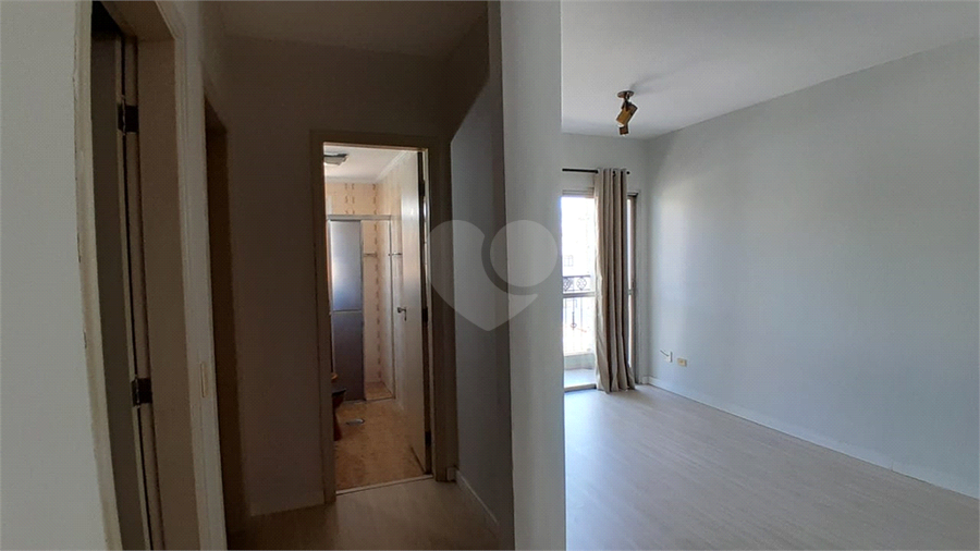 Aluguel Apartamento Jundiaí Centro REO990556 6