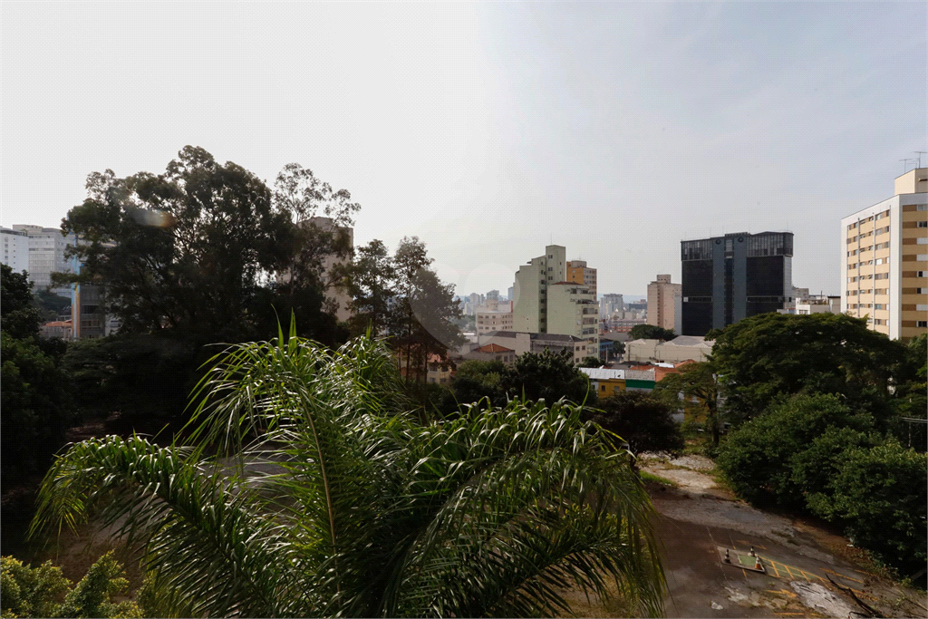 Venda Apartamento São Paulo Bela Vista REO990603 9