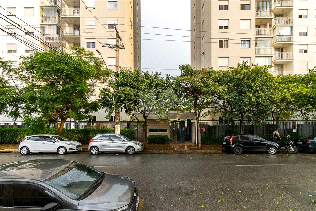 Venda Apartamento São Paulo Belenzinho REO990632 61