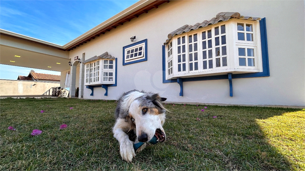 Venda Chácara São Carlos Quinta Dos Buritis REO990804 6