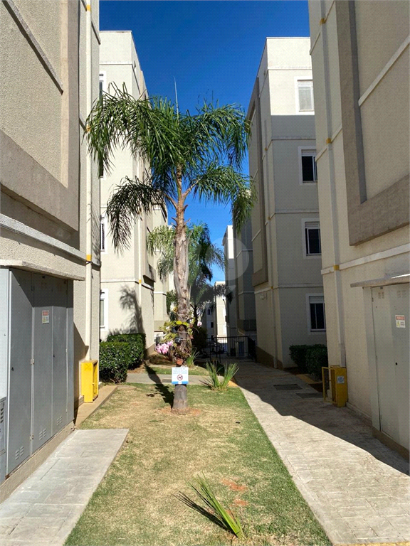 Venda Apartamento São Carlos Residencial Monsenhor Romeu Tortorelli REO991097 14