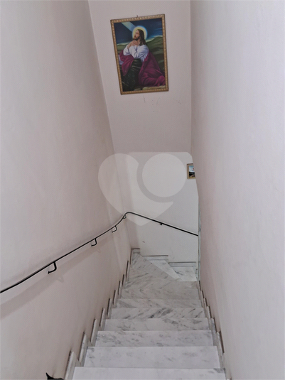 Foto REO991166