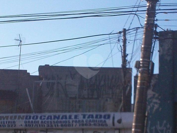 Foto REO99142