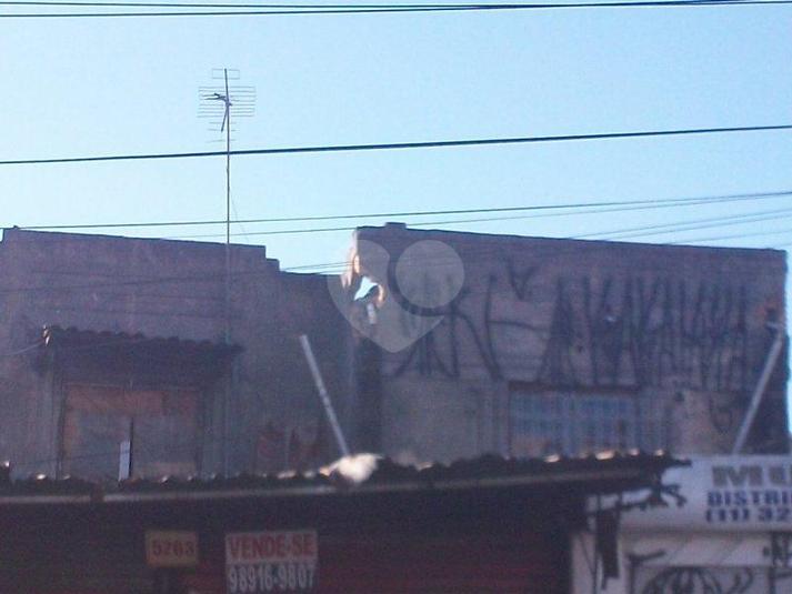 Foto REO99142