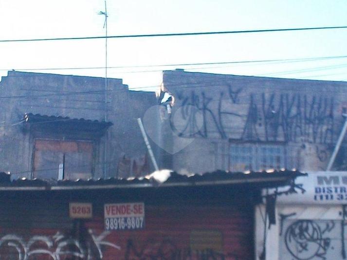 Foto REO99142