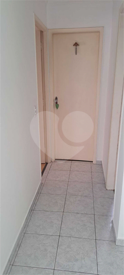 Foto REO991460