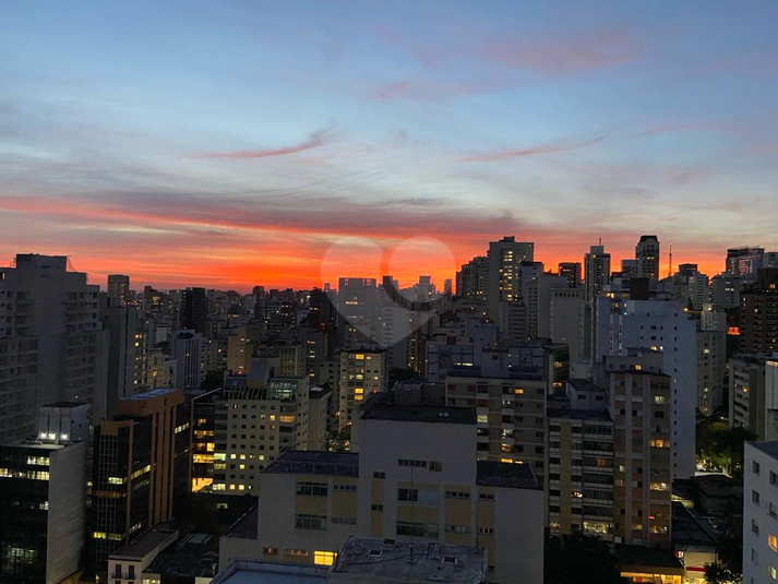 Foto REO991560