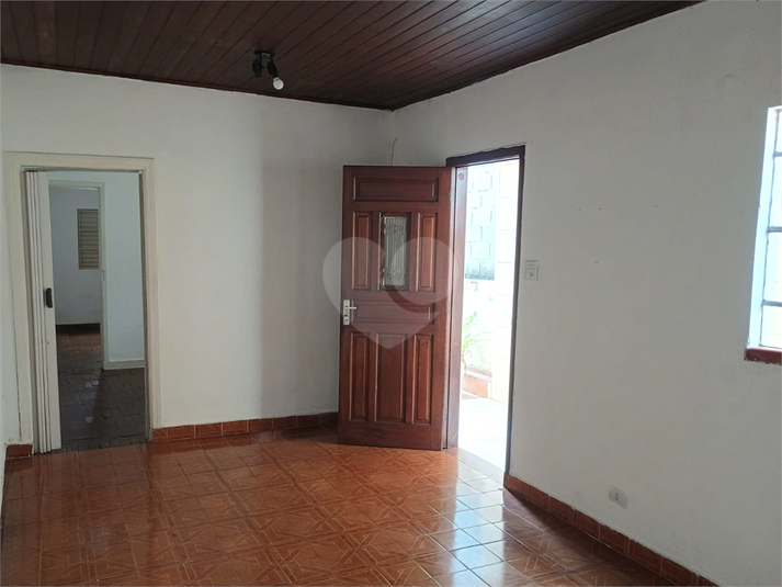 Foto REO992184