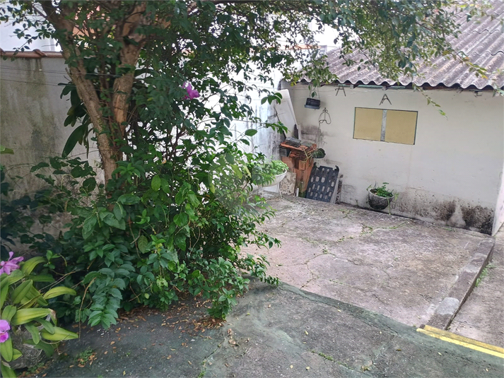 Foto REO992184