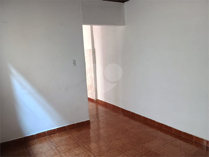 Foto REO992184