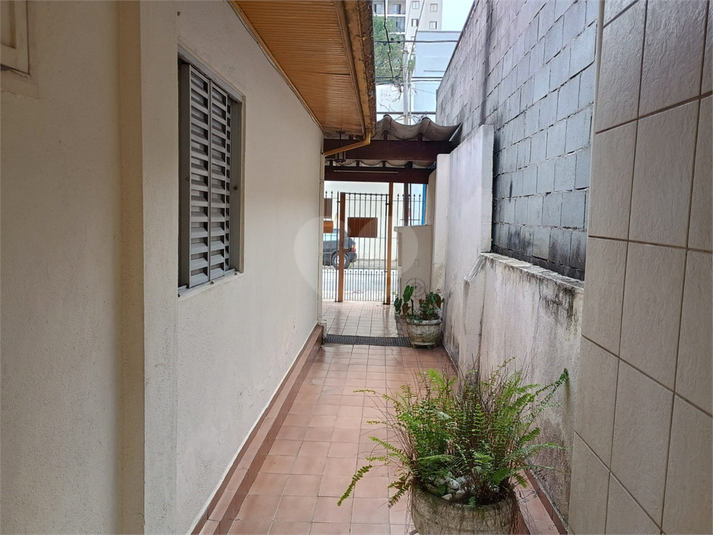 Foto REO992184
