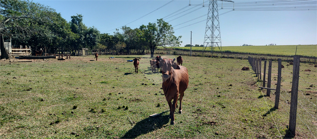 Venda Sítio Salto Buru REO992940 41