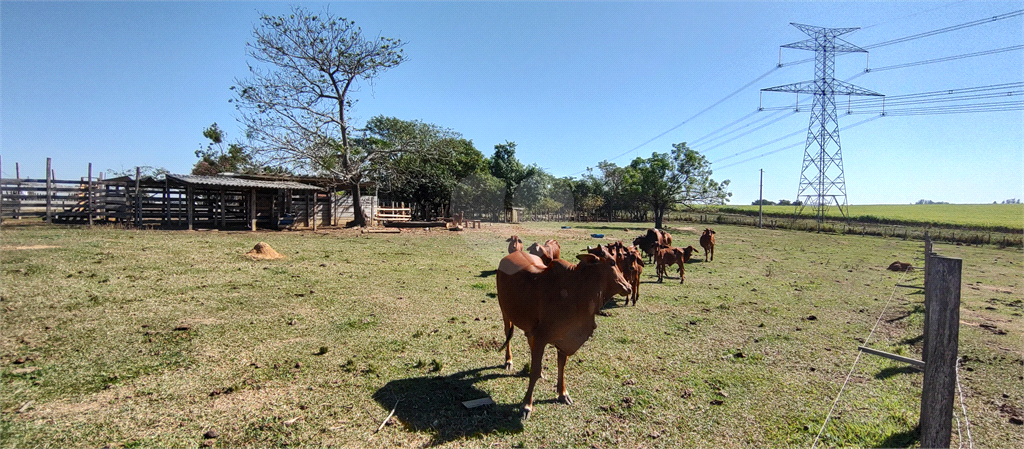 Venda Sítio Salto Buru REO992940 43