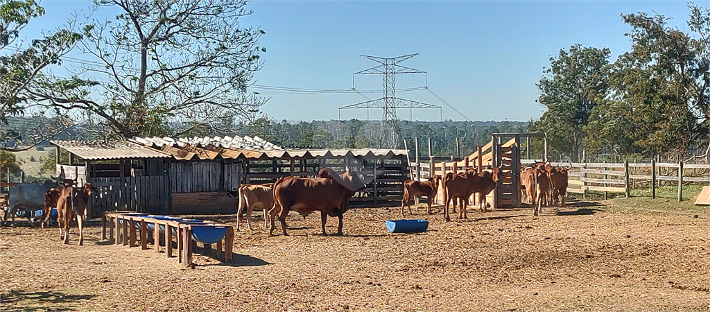 Venda Sítio Salto Buru REO992940 13