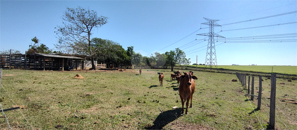 Venda Sítio Salto Buru REO992940 42