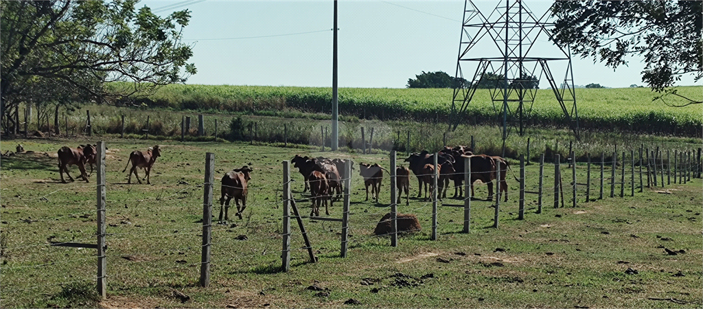 Venda Sítio Salto Buru REO992940 48