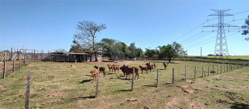 Venda Sítio Salto Buru REO992940 44