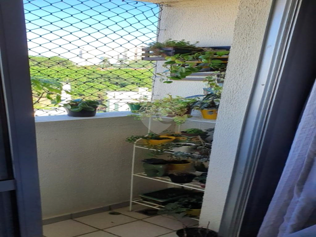 Venda Apartamento São Paulo Jardim Boa Vista (zona Oeste) REO992968 10