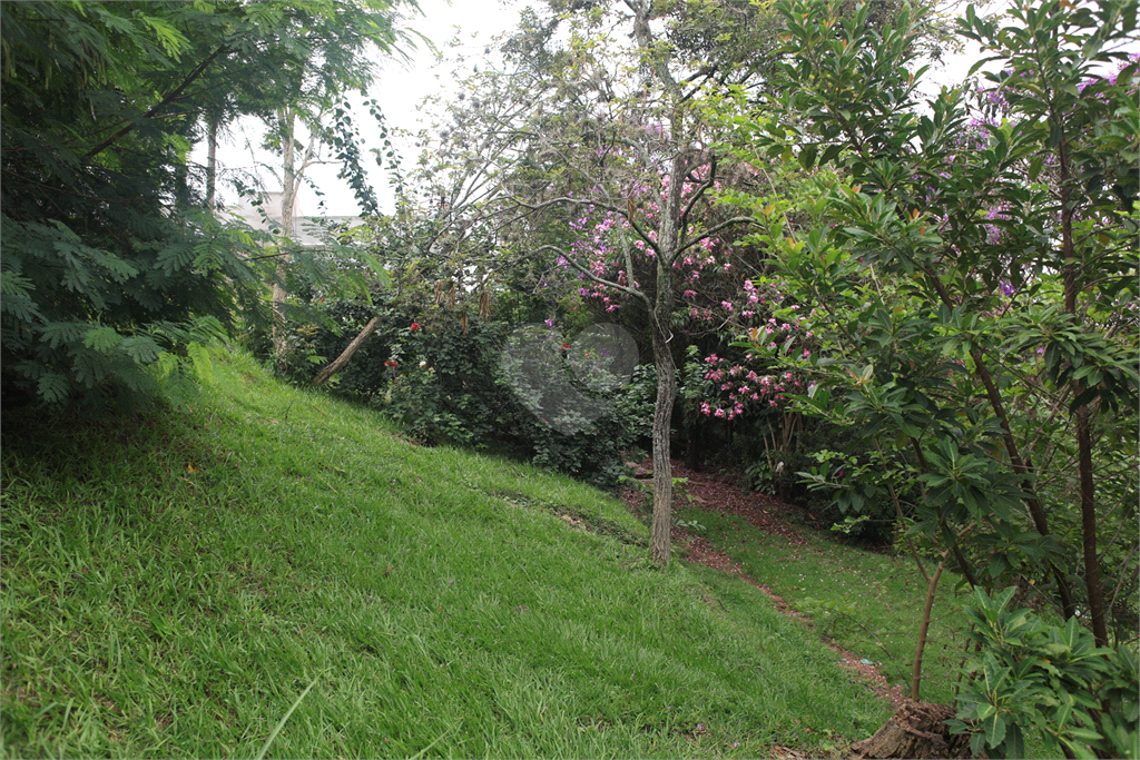 Venda Chácara Louveira Jardim 21 De Março REO993109 91