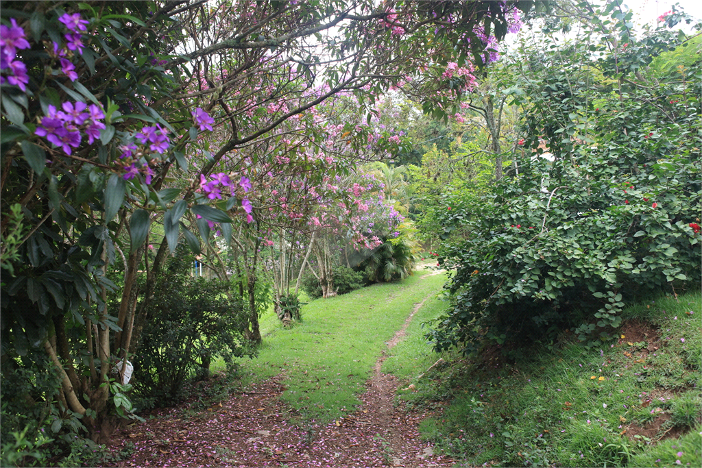 Venda Chácara Louveira Jardim 21 De Março REO993109 71