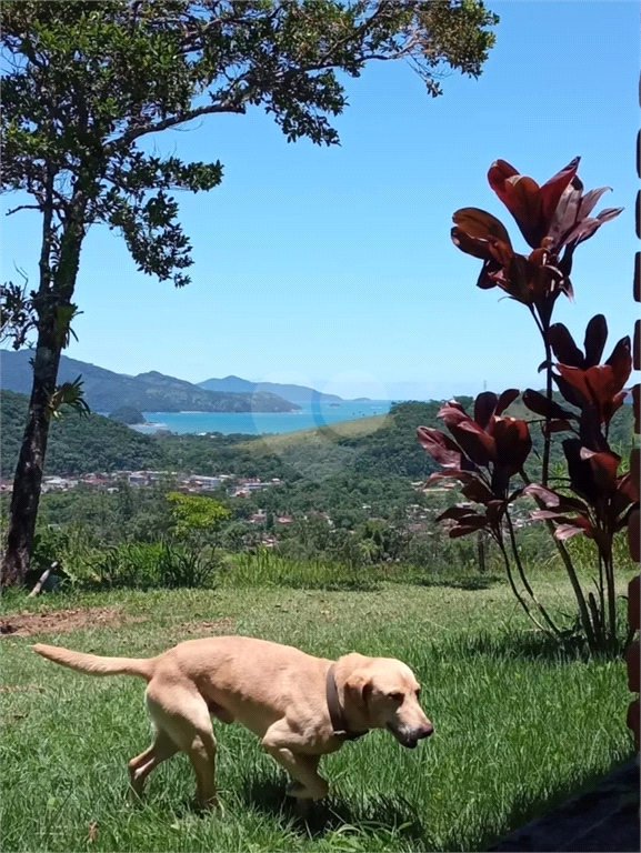 Venda Chácara Ubatuba Sertão Da Quina REO993459 10