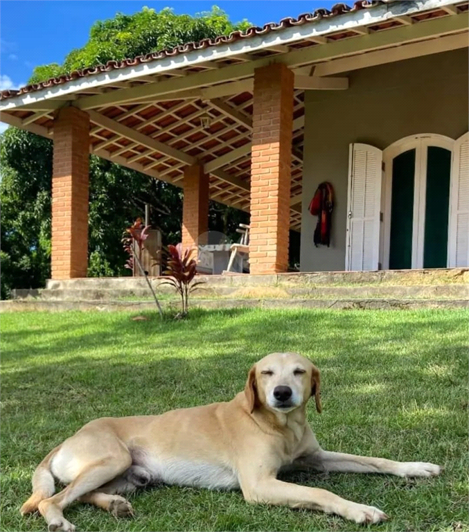 Venda Chácara Ubatuba Sertão Da Quina REO993459 1