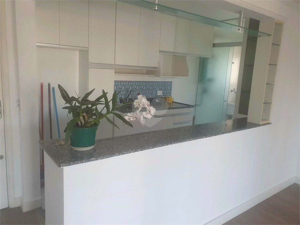 Venda Apartamento São Paulo Jardim Peri Peri REO993483 13