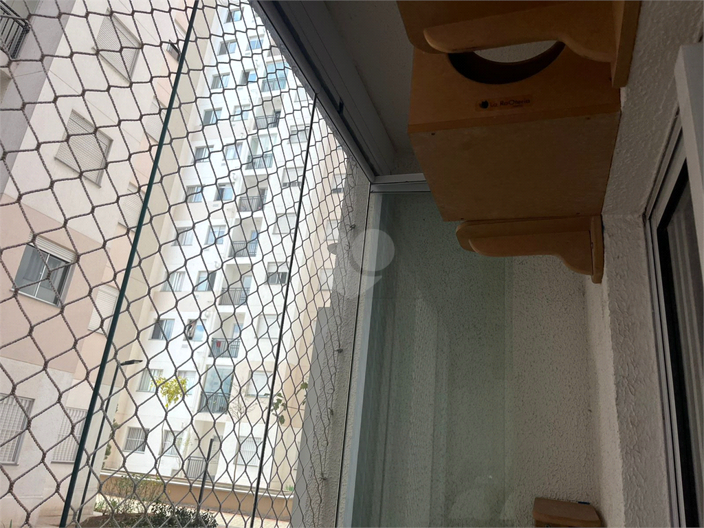 Venda Apartamento São Paulo Vila Guilherme REO993643 11