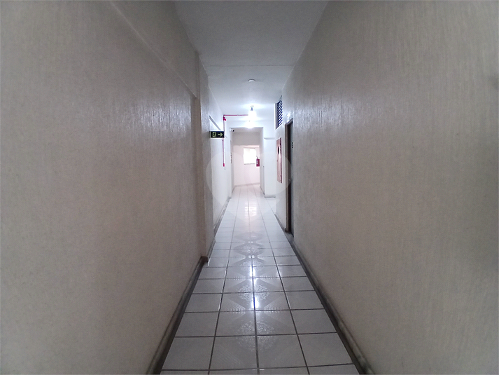 Foto REO993854