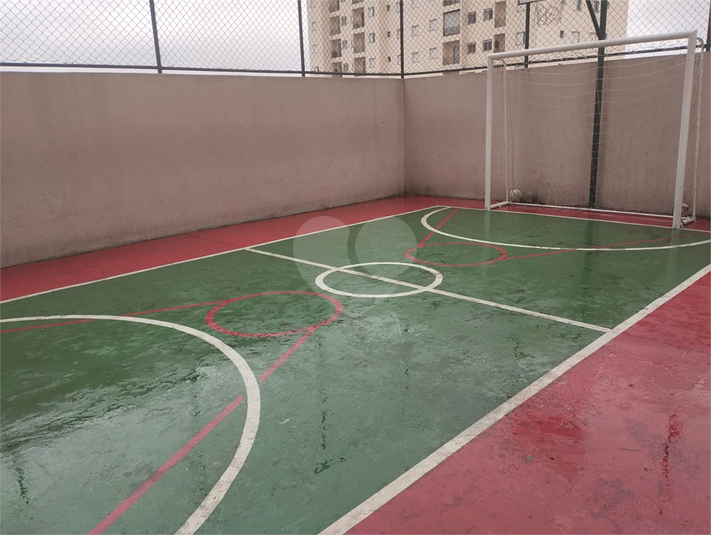 Foto REO994750