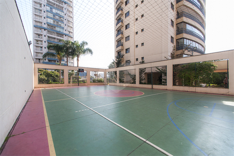 Foto REO995249