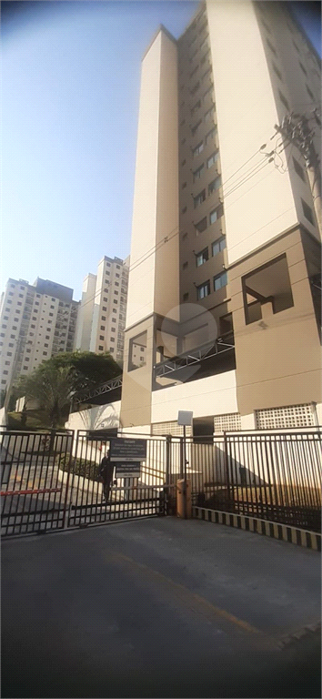 Aluguel Apartamento Guarulhos Portal Dos Gramados REO995759 16