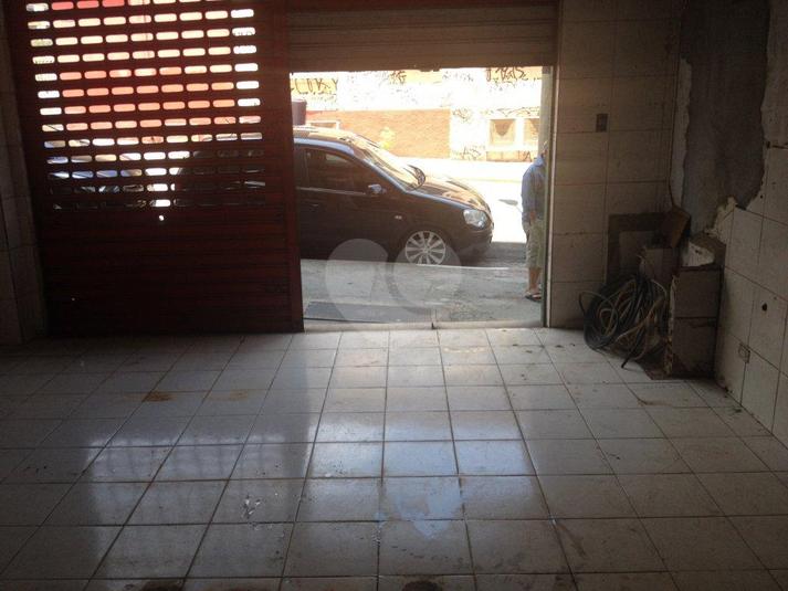 Foto REO99576