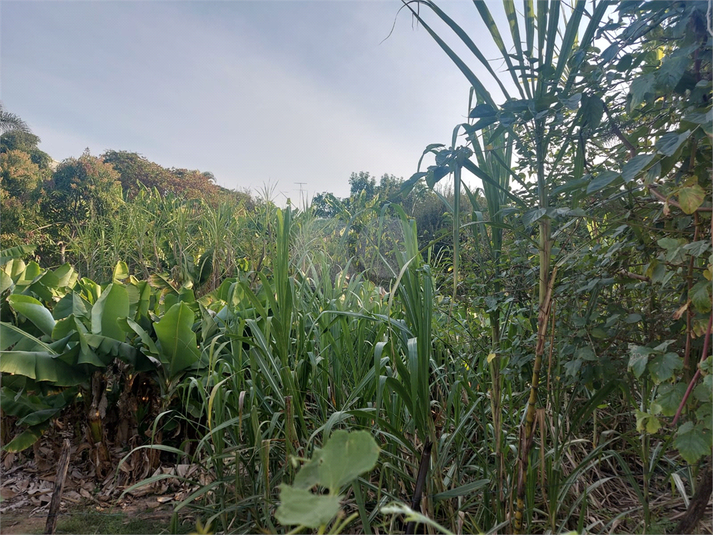 Venda Terreno Vinhedo Santa Claudina REO996073 4