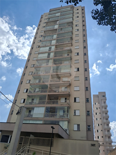 Foto REO996135