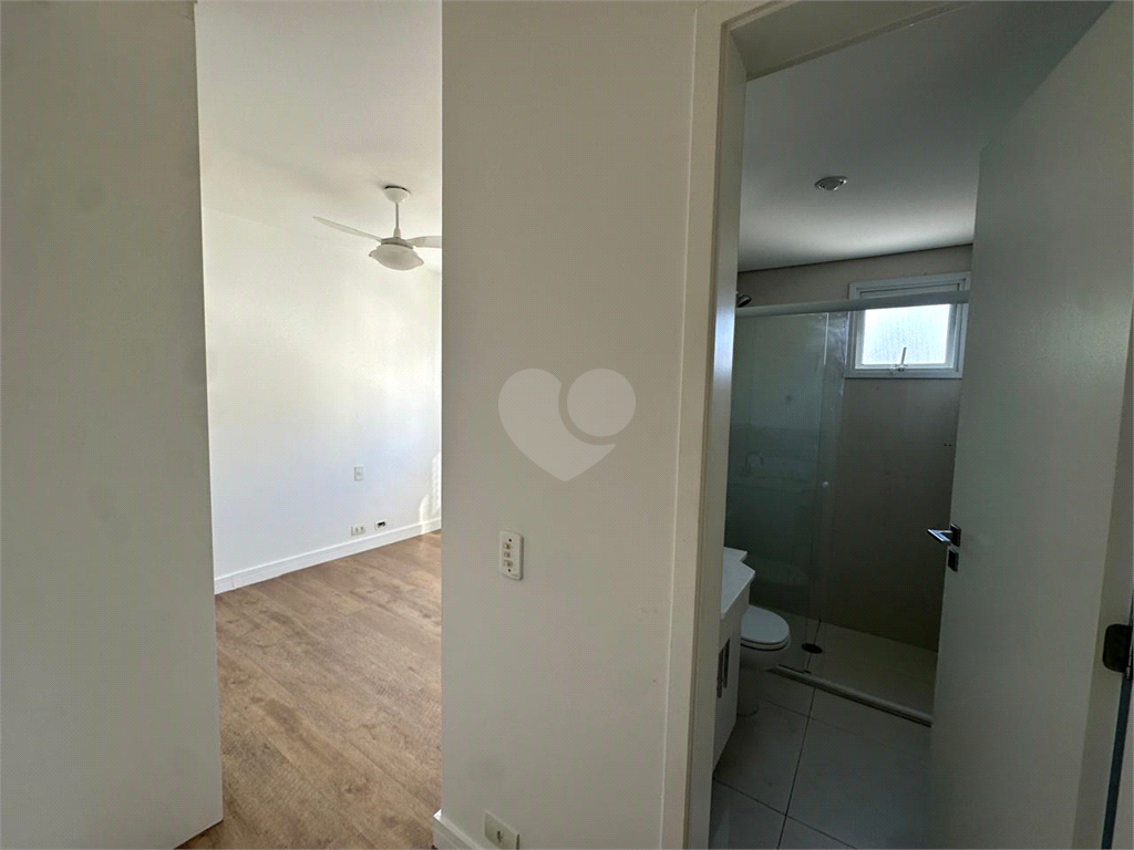 Aluguel Apartamento São Paulo Indianópolis REO996197 16