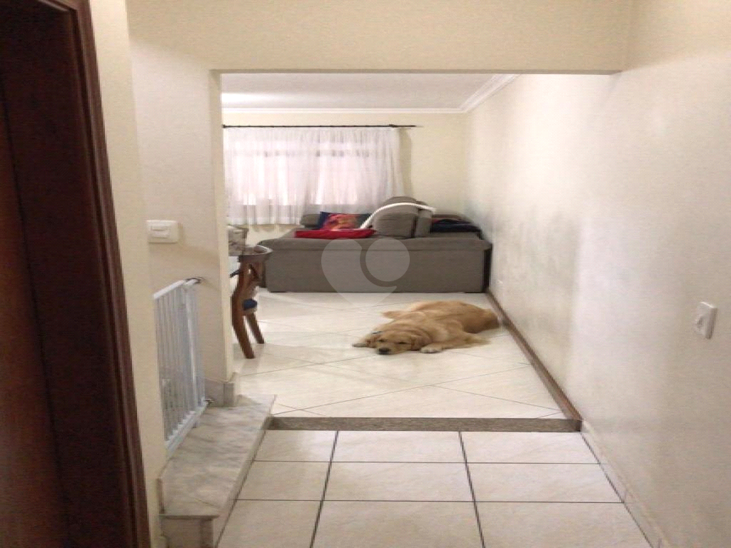 Venda Casa São Paulo Jardim Cláudia REO996220 17