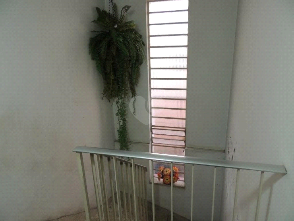 Venda Casa São Paulo Jaguaré REO996231 18