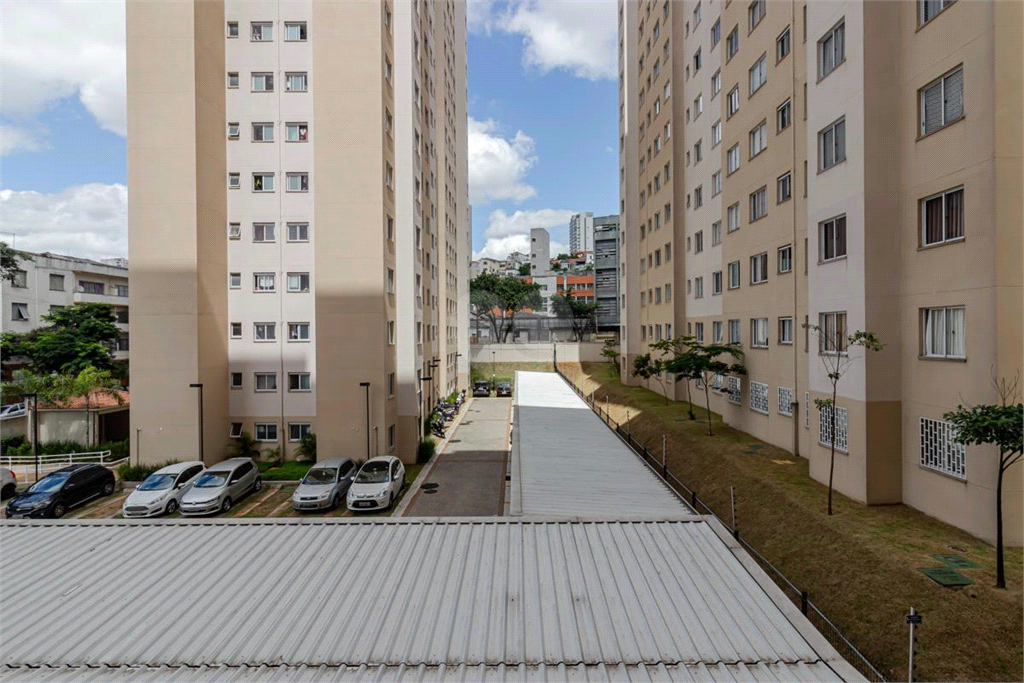 Venda Apartamento São Paulo Cambuci REO996671 13