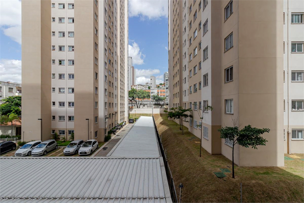 Venda Apartamento São Paulo Cambuci REO996671 6