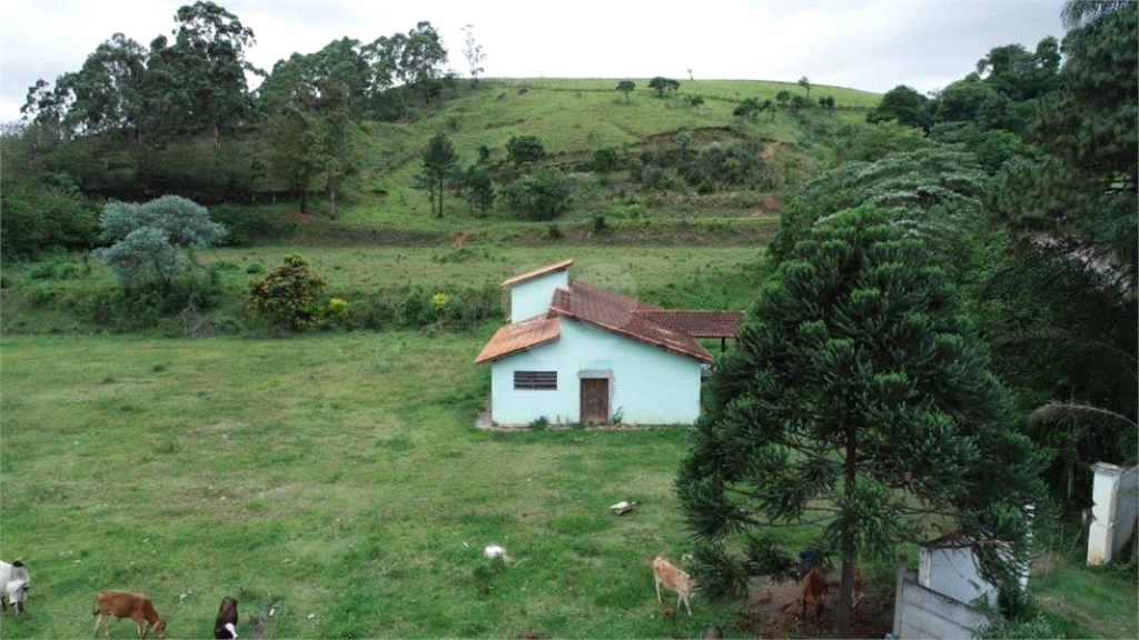 Venda Terreno São Paulo Parque Edu Chaves REO9968 17