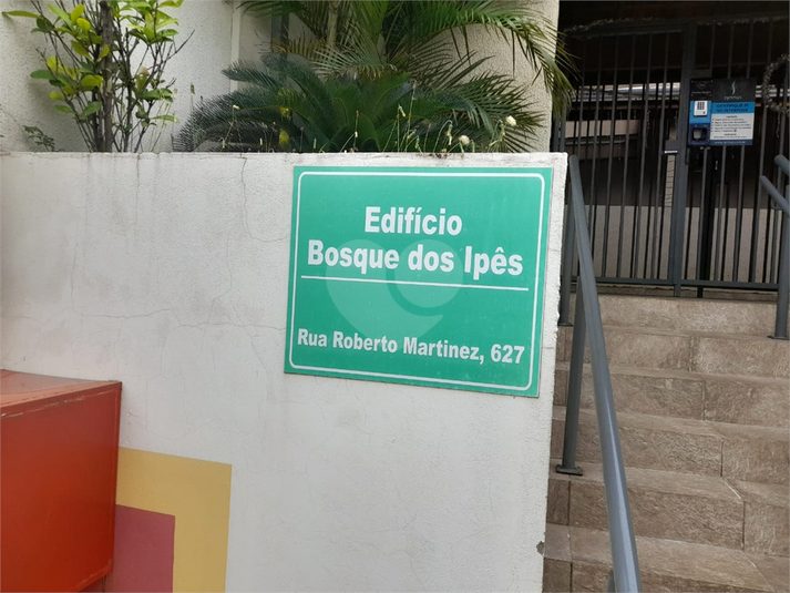 Aluguel Apartamento São Carlos Jardim Dona Francisca REO998338 4