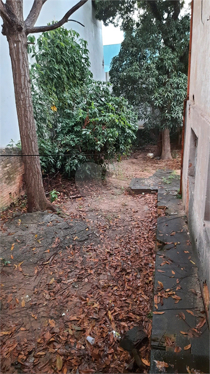 Venda Terreno São Paulo Vila Gustavo REO998849 8