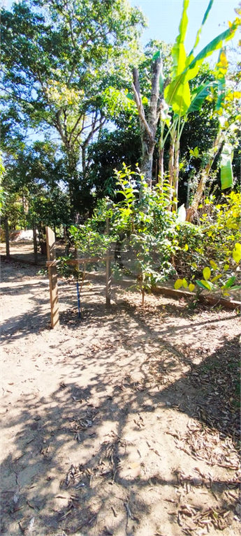 Venda Chácara Araras Parque Da Cascata Das Piaparas REO998993 7