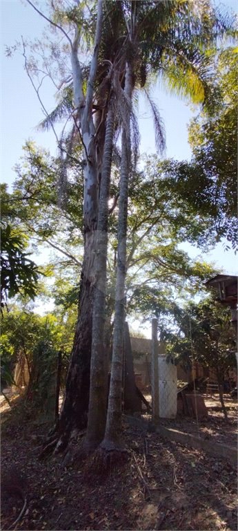 Venda Chácara Araras Parque Da Cascata Das Piaparas REO998993 16