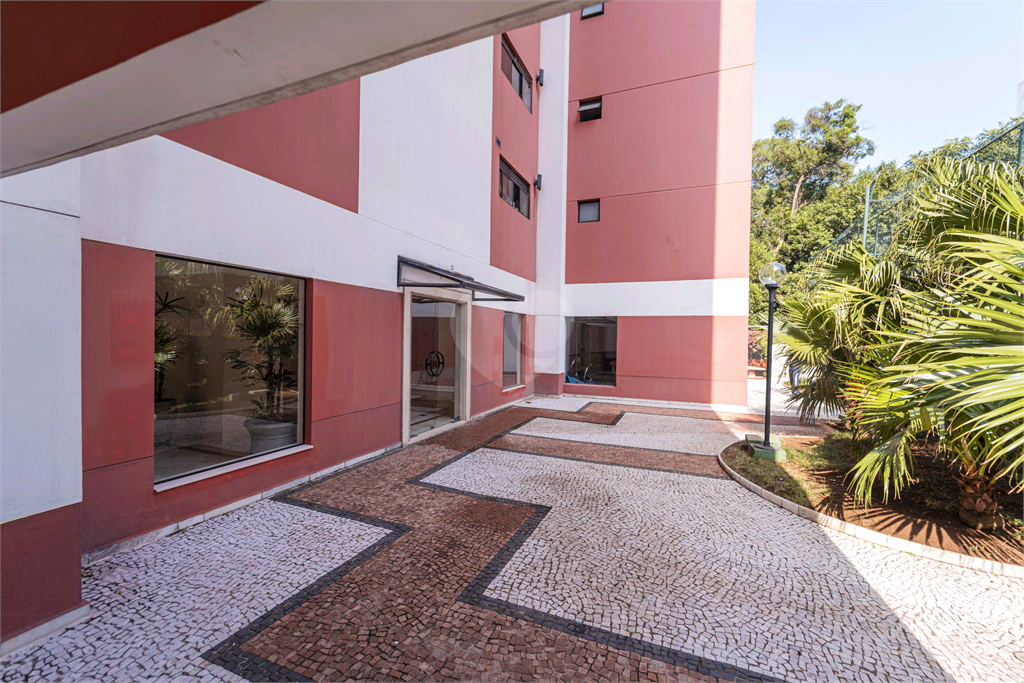 Venda Apartamento São Paulo Vila Mascote REO999096 53