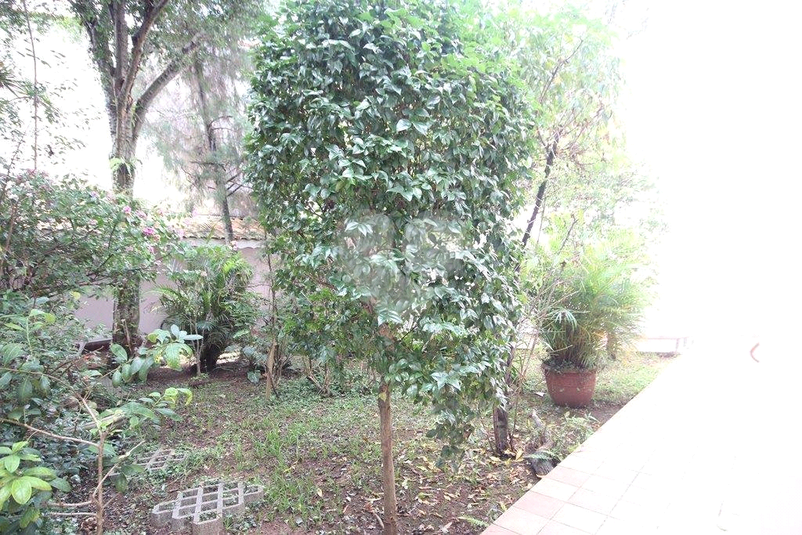 Foto REO99982