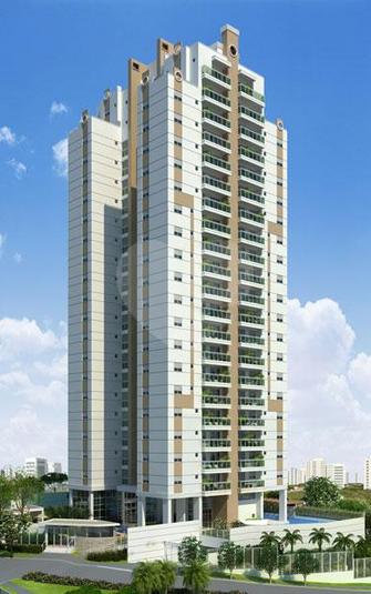 Open View Galeno