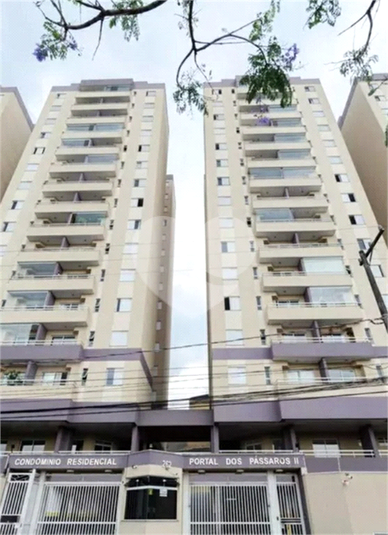 Portal dos Pássaros II