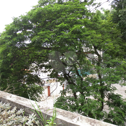 EDIFICIO PINHEIRINHO